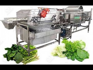 Salad Leaves Washing Process Machine For Commercial Use