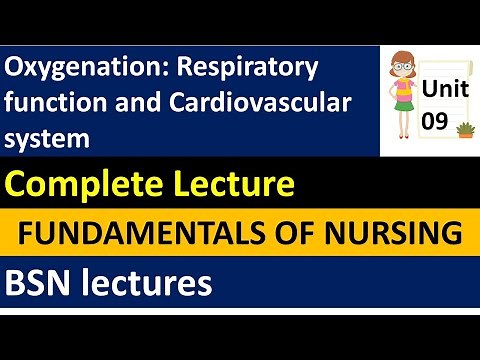 Oxygenation: Respiratory function and Cardiovascular system | Fundamentals of Nursing | BSN Lectures