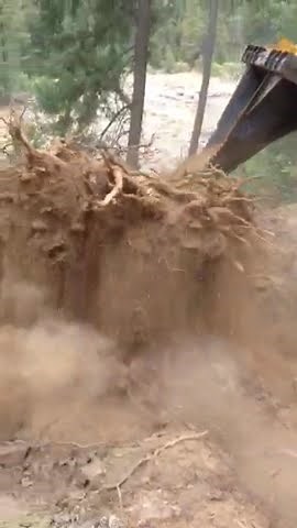 Skid Pro Stump Bucket - Customer Video