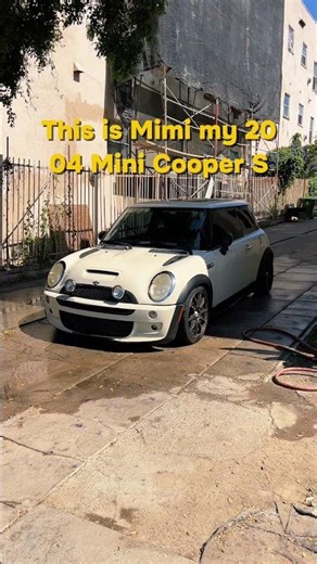 Can This 20-Year-Old Mini Become the Perfect Daily?