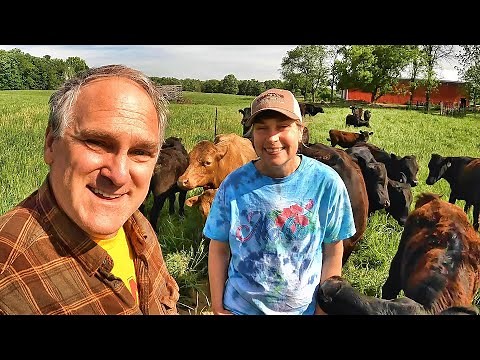 Don't Blow Your Grits! 🐄💩