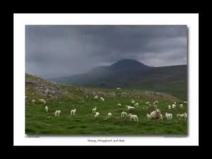 The Rain She Has A Silver Broom (mobile version) by Rick McKee