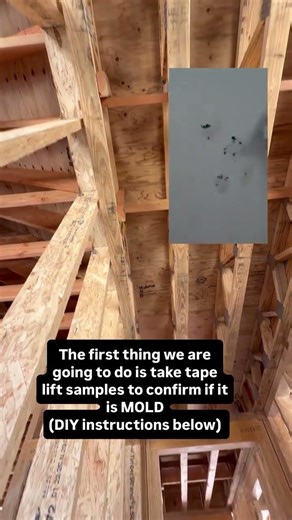 This is how we deal with moldy lumber. #healthyhome #reel #reels #buildingscience #renovation