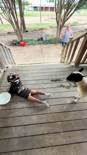 Funny children & sheep 😂❤️👍 #fails | KING K