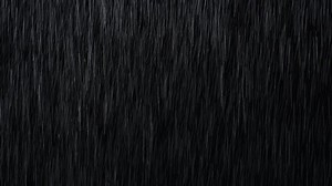 Rain Drops Falling Real Rain 4k Stock Footage Video (100% Royalty-free) 1047061810 | Shutterstock