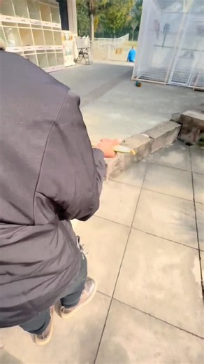 Pillu Pedia on Instagram: "Greedy Pelican Tries to Eat a Whole Duck 😳 This greedy pelican tries to eat everything it sees, and this time it grabbed an entire duck in its huge beak. It seemed like the duck wouldn’t survive, but a man rescued it just in time. The way the pelican was dragged into the cage showed clearly that this wasn’t the first time it had caused trouble. #reels #viral ."