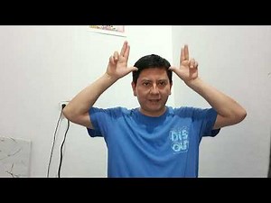 Clase 19: Los Animales en Lengua de Señas Peruana (LSP)