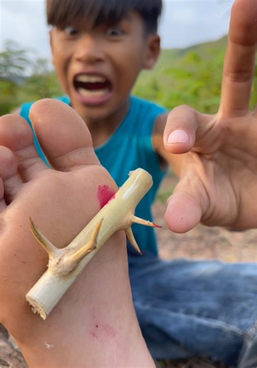 Essential Survival Skills for Outdoor Adventures