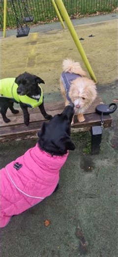 iona gives Fin a stolen kiss.