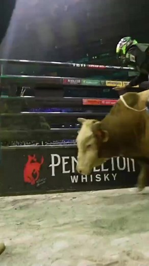 The bull power in the 15/15 Bucking Battles is off the chart. Get ready for another battle in Indianapolis this weekend. | PBR