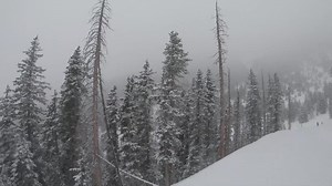 WOW! 🌨 The Arizona Snowbowl Flagstaff got 4" of fresh snow today, and the National Weather Service expects there to be more! 😍 More on the wet weather: http://bit.ly/38ODUss (📸: Arizona Snowbowl) | FOX 10 Phoenix