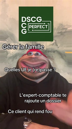 #DSCG #expertisecomptable #dec #dcg