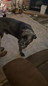 How you feel baby BTA . GO DAWGS ❤️🖤 | Rocky Nation