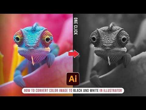 Convert Color Vector or image to Black and White in Illustrator | Grayscale | Illustrator Teachings