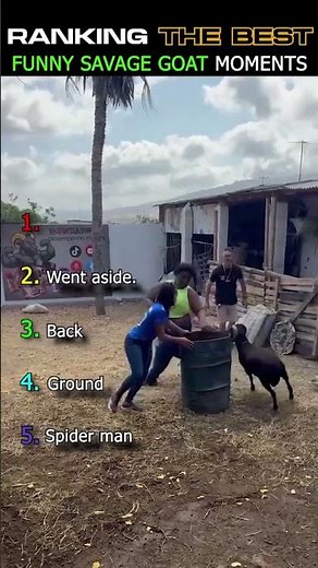 Ranking Funny Goat Moments (Pure Savage! 😂) #shortsusa