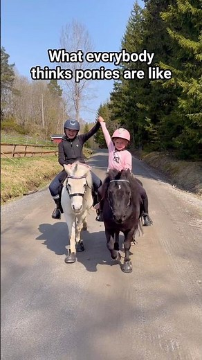 Comment if you love ponies😍❤️ #shortsvideo #fail #pony #horse
