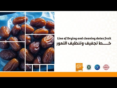 Line of Drying and cleaning dates fruit