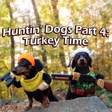 Crusoe & Oakley the Huntin' Dogs: Turkey Time