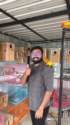 8.8K views · 93 reactions | Finally Reached Home  ஒரு Super Good News இருக்கு 殺 #prasanth360 #birds #aviary #sunconure #lovebirds #reels #smallconure #cockatiel #africanlovebirds #coimbatore #malaysia #fbreels #instareels | Prasanth360 | Facebook