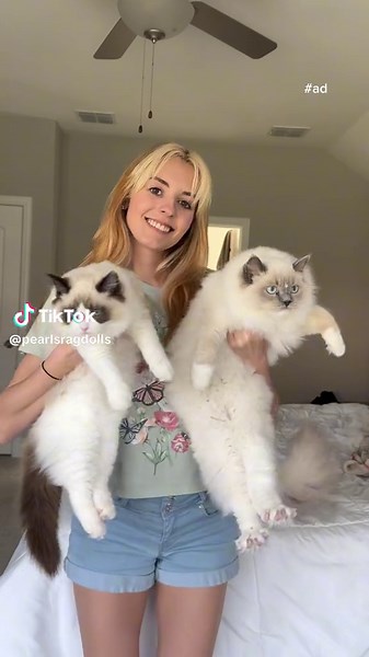 #ad Reset your litter boxes this spring-cleaning season with Fresh Step Multi-Cat available at your local retailer @Fresh Step Cat Litter 😸 FEBREZE is used under license from The Procter & Gamble Company or its affiliates.