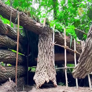 20K views · 467 reactions | Building a shelter from tree bark | Bushcraft Lifestyle | Facebook
