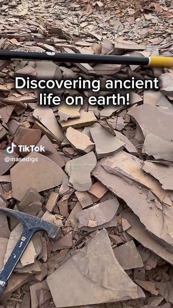 Incredible Fossil Discovery in Utah Desert