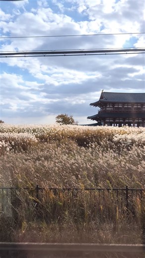 Monica Sidharta on Instagram: "Beautiful videos and photos captured by Samsung. Watch it through Samsung Micro RGB TV to get more immersive experience. #sharecessamsungid #thefirstlook2026 #samsungvisionai #samsungtvid #bespokeai"