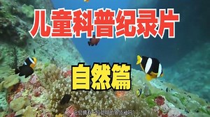 全236集~孩子一看就涨知识的儿童科普纪录片（宇宙篇）适合3-15岁朋友观看