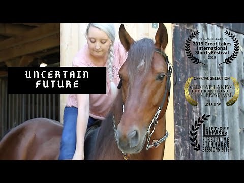 Uncertain Future - The Rocky Mountain Horse