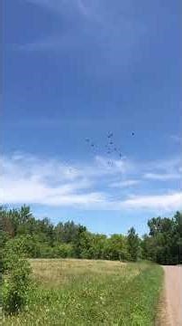 4 Way Racing Training Toss