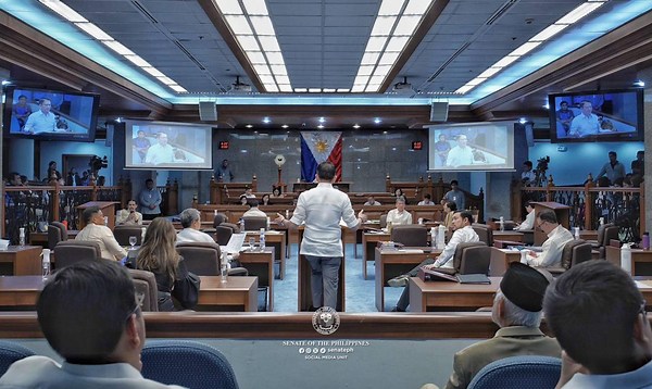 LIST: Senate Commission on Appointments members in the 20th Congress