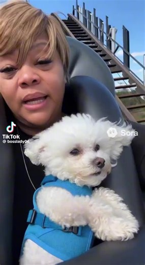 It’s the scream for me 😩😆😆😆💕💕💕💕