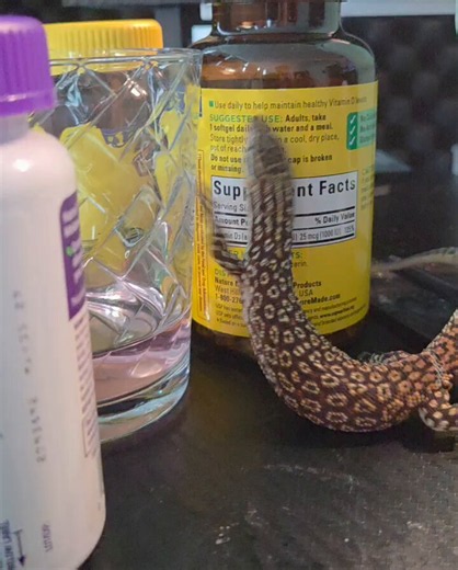 idiot dumb ass has been promoted to desk privilege gamersupps is lizard approved