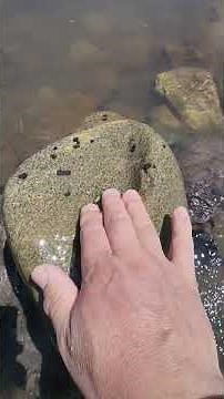 Dragon blood stone with multiple natural features~