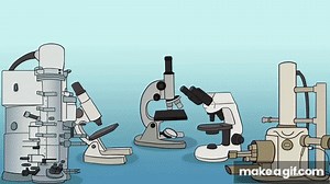 Microscopes and How to Use a Light Microscope on Make a GIF