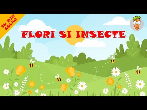 Flori Si Insecte - 30 Minute Colaj Cantece Pentru Copii