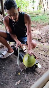 Fresh young coconut water | Ezot Zit