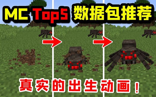 Top5数据包推荐：更好的掠夺者、真实的出生动画和Herobrine！