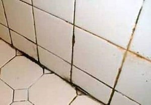 Black Mold on Grout