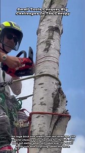 Small Tools Conquer Big Challenges In The Canopy