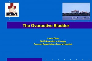 The Overactive Bladder - SlideServe