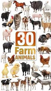 Let’s Learn 30 Farm Animals! 🐮🐴 | Fun Education for Kids #farmanimals
