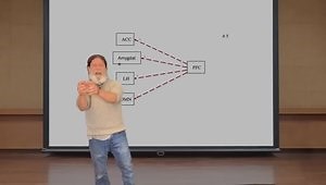 The Biology and Psychology of Depression