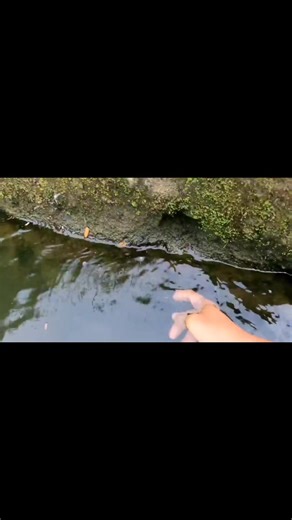 Regular sized na igat | Albert Rada