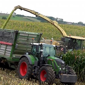 Silaging corn with old harvester | Big Machines