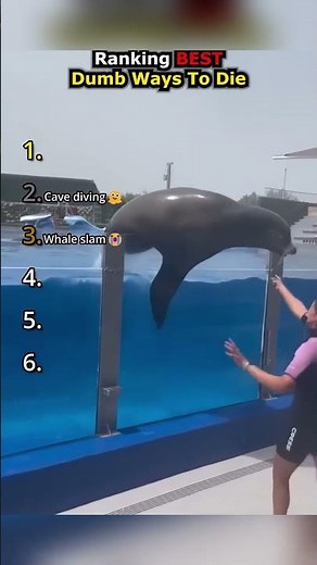 Ranking Best Dumb Ways To Die