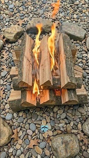 How to Start a Campfire the Right Way