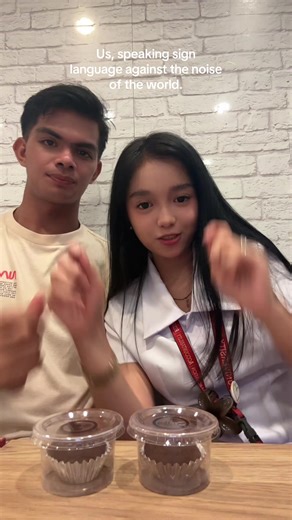 Embracing Sign Language in a Noisy World