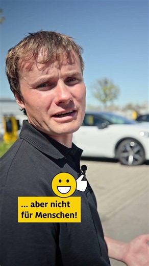 Marderschaden am Auto 😳 #adac #shorts