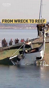 1K reactions · 145 shares | A cargo ship has been scuttled off the coast of Cyprus in a bid to make an artificial reef. Find out how: https://newseu.cgtn.com/news/2019-12-10/Cyprus-sinks-cargo-ship-to-create-artificial-reef-MicjZUpc52/index.html | CGTNEurope | Facebook